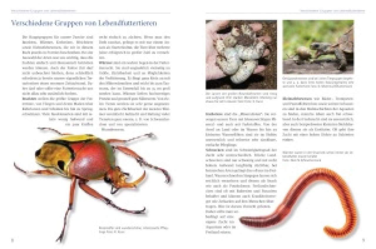 Lebendfutter selber züchten